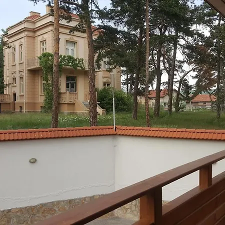 Forest View в комплекс вели хилс * Велинград